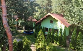niezapominajka-jura